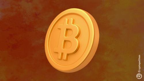 幸运比特币矿工以小型设备赢得3.173 BTC奖励,价值约35万美元