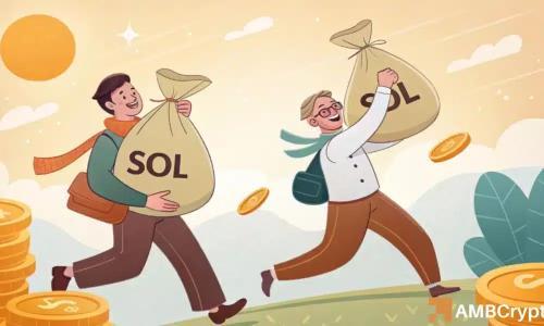 Solana价格下跌背后的异常现象：交易员逆势购入2700万美元SOL