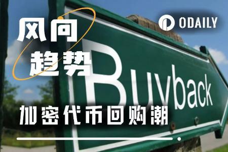 从增长幻觉到现金流现实:回购成为山寨币市场的生存策略