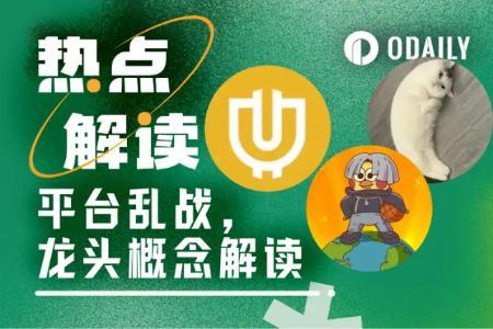 “官办”平台崛起,后Pump时代新概念如何引领市场?