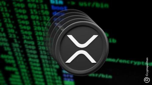 XRP Ledger EVM侧链上线首周智能合约数量激增至1,400个
