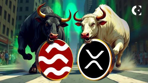 SEI与XRP:下一轮加密货币牛市的两大热门竞争者