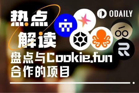 一文速览与Cookie.fun合作的6个项目