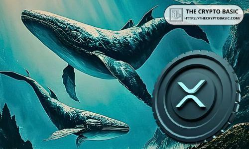 关键决策前夕：2,700+ XRP钱包持有470亿XRP，市场期待ETF审批结果