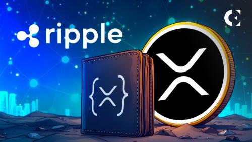 Ripple、XRP与XRP账本：加密货币生态系统中的协同作用