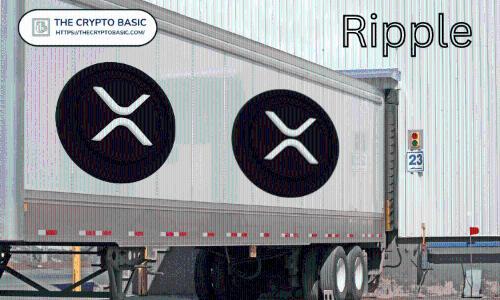 Bitwise CEO探讨Ripple能否在12个月内转型为XRP资金管理公司