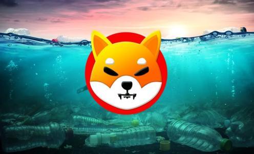 一年前投资2000美元于柴犬币，如今亏损500美元：SHIB的未来何去何从？