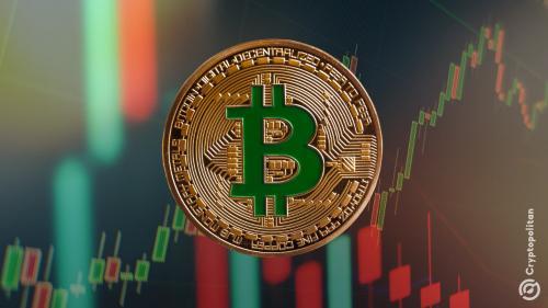 比特币ETF迎来特朗普复出后最大资金流入,机构加速布局数字资产