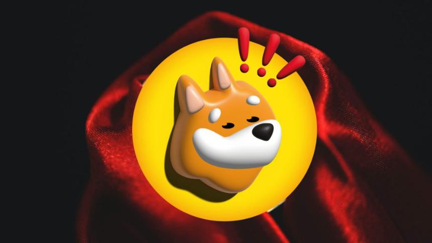 BONK Meme Coin