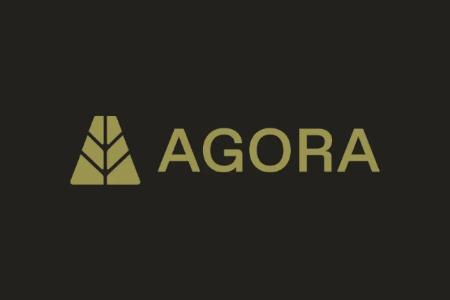 Paradigm重金投资Agora,「白标稳定币」能否颠覆传统市场?