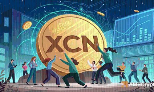 鲸鱼大举增持 Onyxcoin – XCN 能否突破 0.03 美元阻力位?