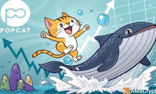 Popcat交易量激增至1亿美元 鲸鱼增持推动价格逼近0.45美元