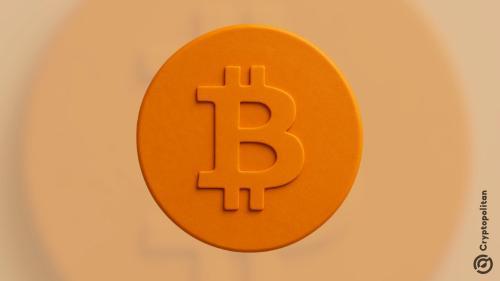 美国保持比特币原始算力领先地位,俄罗斯与中国实现显著增长