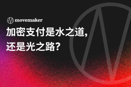 加密支付是水之道,还是光之路?