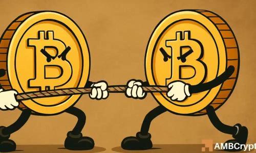 比特币未来数周或迎来反弹：关键数据揭示上涨潜力