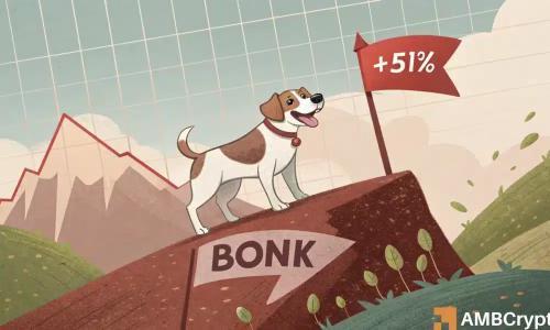 BONK新闻：短期下跌难挡其51%的强劲涨势