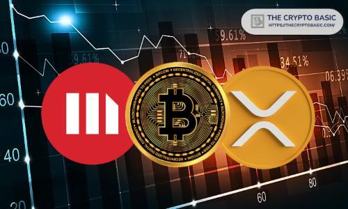 专家质疑 Ripple 未建立 XRP 储备，称其为真正输家而非 Saylor 的 BTC 策略
