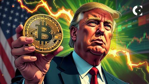 特朗普盛赞彼得·范·瓦尔肯伯格的比特币解释为“最佳证词”