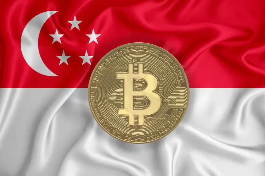 稳定币破圈进行时：深度解析12国稳定币监管政策竞速