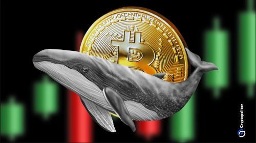 比特币老鲸鱼因神秘警告信息大规模转移资产