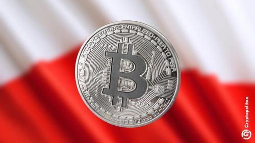 波兰政府披露:近五分之一波兰人已投资加密货币