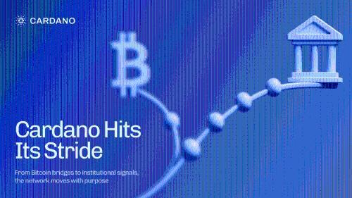 Cardano通过实际进展与机构支持迈向新阶段