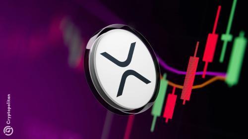 Wellgistics Health 申请采用 XRP 作为财务管理工具,获 5000 万美元信贷支持