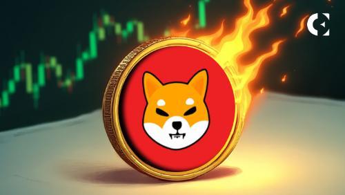 柴犬币暴涨60%的背后:代币销毁成“关键推手”