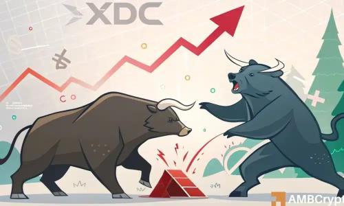XDC交易量激增,上涨11%——能否突破0.115美元关键阻力?