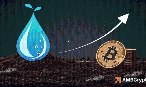 SUI交易量超越AVAX、NEAR和HYPE，但资金外流引发市场关注