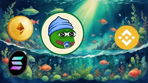 Little Pepe：错过 Solana、以太坊和早期币安币？现在是投资的最佳时机