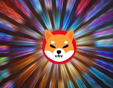 柴犬购买活动激增14%，市场复苏迹象初现