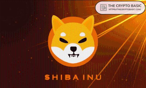 柴犬团队回应支持特定项目争议：呼吁社区团结共抗外部挑战