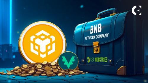 纳斯达克上市公司CEA转型BNB网络公司:5亿美元融资助力品牌重塑与战略升级
