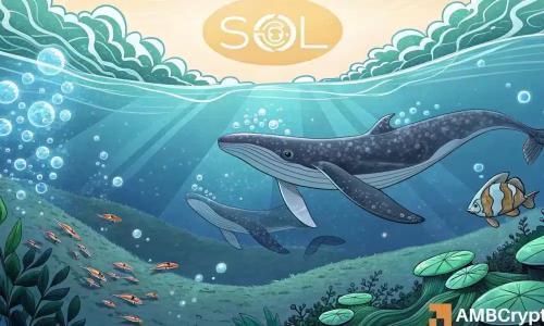 鲸鱼豪掷1200万美元购入SOL,Solana价格能否冲击200美元大关?