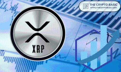 XRP如何实现从5000美元到500万美元的惊人增长