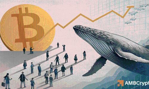 比特币:鲸鱼与散户齐增持,BTC能否迎来新一轮强势反弹?
