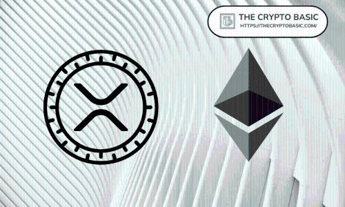 Canary Capital CEO 解读：XRP ETF为何有望超越以太坊ETF