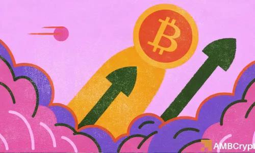 比特币长期持有者策略转变或将推动BTC价格突破12万美元