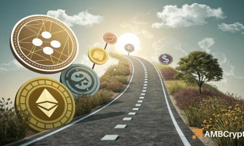 谷歌搜索量创新高，山寨币能否再现2021年暴涨行情？