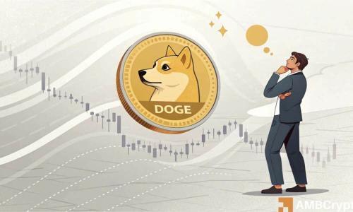 狗狗币价格预测：鲸鱼囤积2000亿DOGE，市场看涨情绪高涨