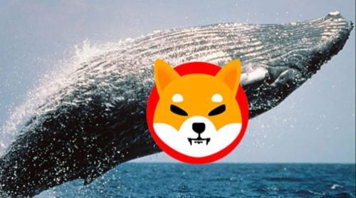 巨鲸从 Coinbase 转移 3 万亿 Shiba Inu，市场情绪看涨