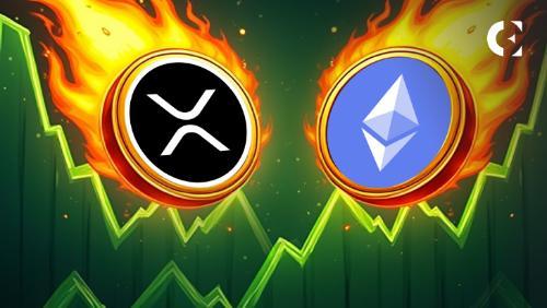 比特币支持者 Pierre Rochard 批评以太坊和 XRP 的代币化价值主张