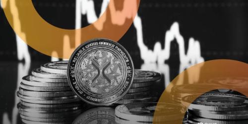 尽管市场回调，Cardano 和 XRP 鲸鱼活动仍创新高