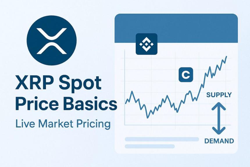追踪 XRP 现货价格并获取每日市场趋势更新