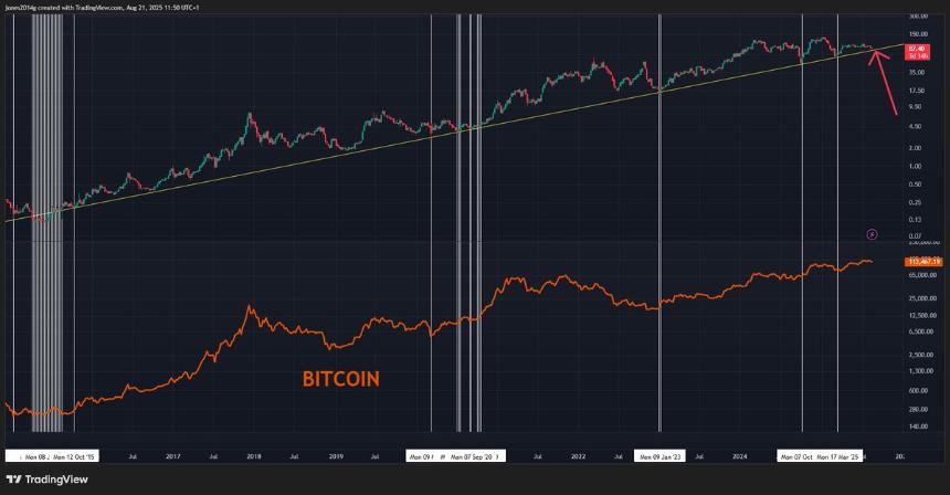 bitcoindata21's Bitcoin chart