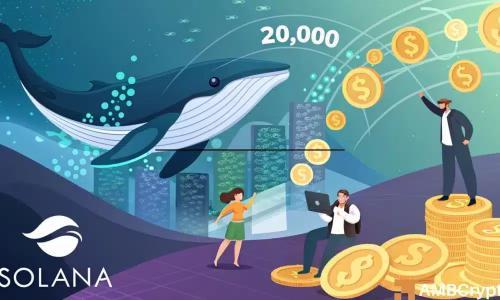Solana：SOL有望在9月底前达到223美元的三大驱动因素分析