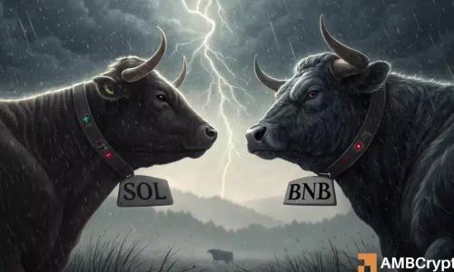 Solana与币安币市值之争:第四季度能否实现翻转?