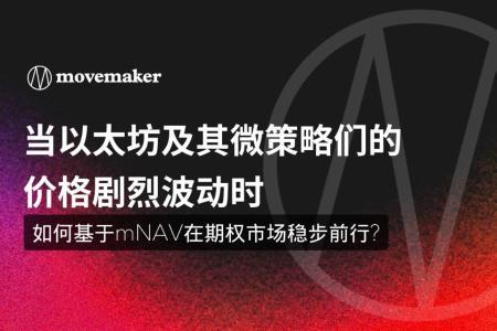 当以太坊及其微策略们的价格剧烈波动时, 如何基于mNAV在期权市场稳步前行?