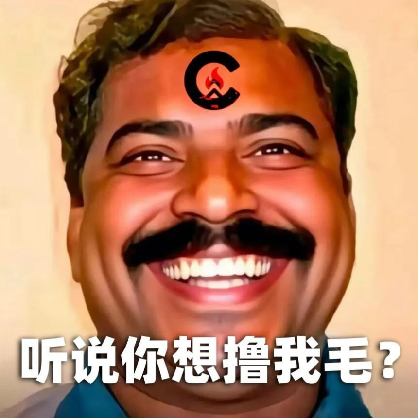 Camp Network空投引发全网骂声